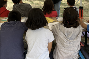 Call: Steuerspezialist:in anrufen