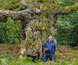 PLANT-MY-TREE. Die Stiftung.