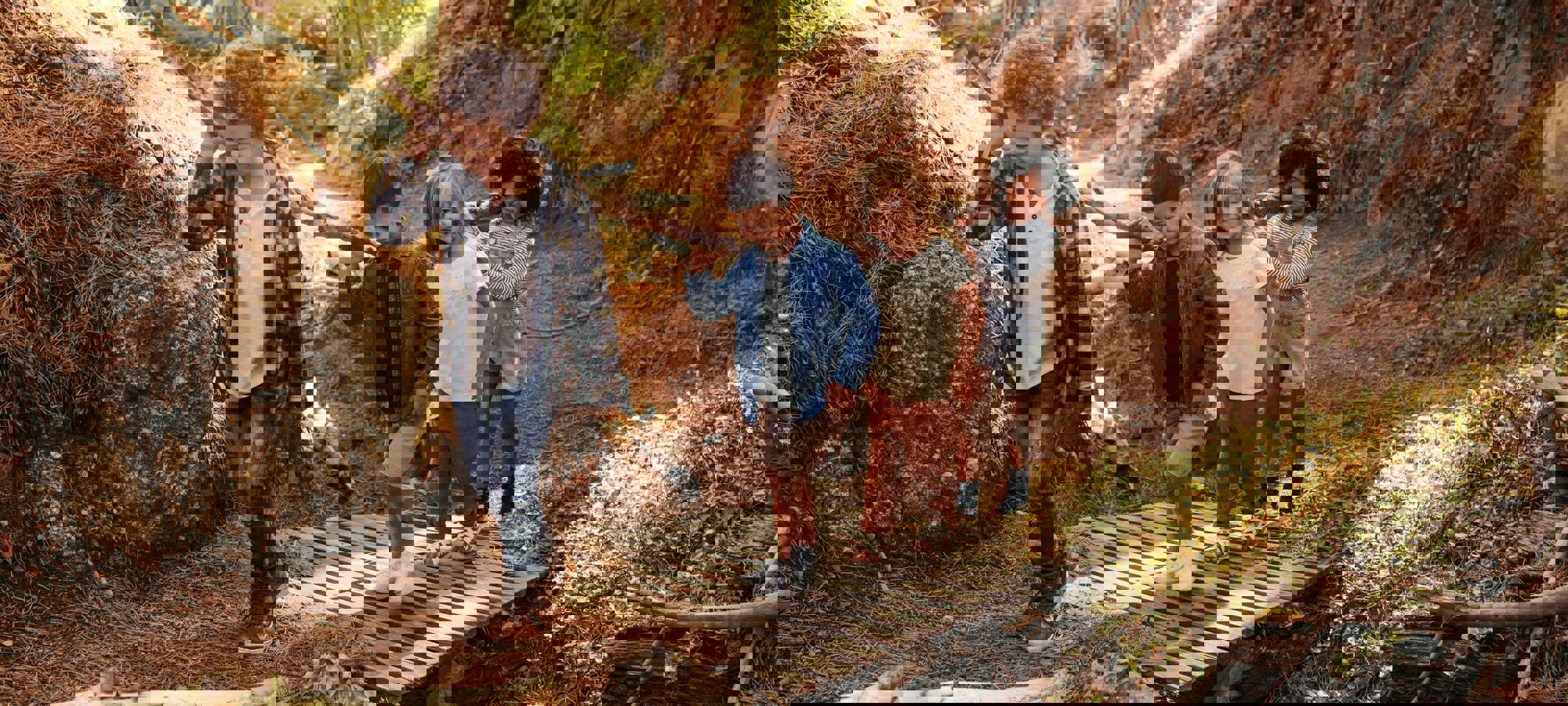 929fb35a-1449-47f4-8f4f-ea3d7054a0bb (2)